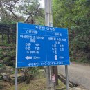 B3 | 용인 마운틴캠핑장 F4, B3 숲캠 후기 (초대캠인듯 아닌듯 후기)