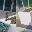 장성황룡중학교 이미지