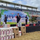 송정초등학교 이미지