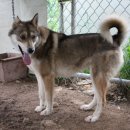 두환농장 이미지