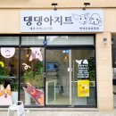 하이댕댕 이미지