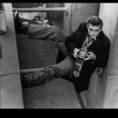 에덴의동쪽 이미지