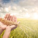 장성군농협조합공동사업법인 이미지