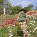 사봉주유소 이미지