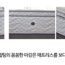 럭스컴퍼니 이미지