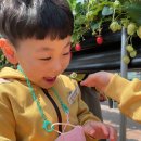 박건율농장 이미지