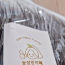농장믿지혜
