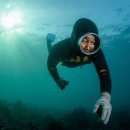 쌍정초등학교 | 동해 프리다이빙 스팟 완전 정복 — 고성부터 울릉도까지 🤿🌊
