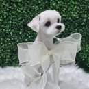 냥이멍이세상 이미지