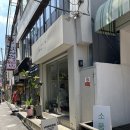 제인이화 이미지