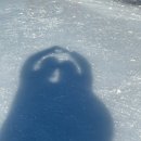 금성동 게이트볼 공중화장실(2) | [대구] 대구 신천 스케이트장⛸️(위치, 가격, 주차, 먹거리, 화장실 꿀팁💡 대방출)