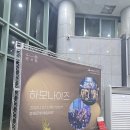 하모나이즈 콘서트 | 동해 행사)하모나이즈 공연 후기: 젬베 울림에 빠진 밤