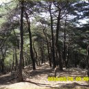 춘양중학교 이미지