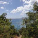 @Hawaii dump3