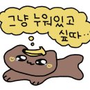 나이스풋샵
