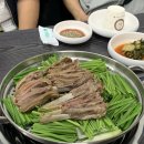 아무말대잔치 고칼로리 연휴 일상!