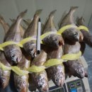 가정1-02-021 이미지