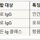 G3475 이미지
