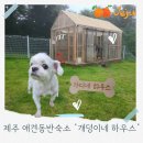 개덩이네 하우스 네이버블로그