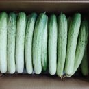 문수농장 이미지