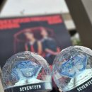 호시가 | 250719 호시우지 팬콘서트 [WARNING] 부산 사직실체 첫콘 후기