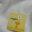 강풍 맞으며 다녀온 피크민 홍대 스파오 콜라보 후기