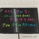 꽈배기정 이미지