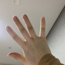 모세휠체어 이미지