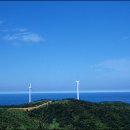 바람개비 - 서구 대덕대로185번길 58 | 바람개비
