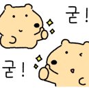 우리실버케어 이미지