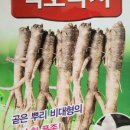 동원종묘농약사 이미지