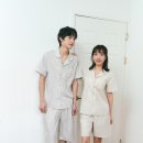 솔브인사이트