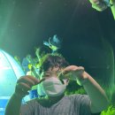 여름곤충 탐구생활 이미지