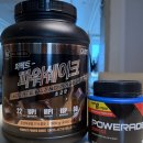 플라티브 | 포기함? 마운자로 6주 (96kg → 83kg) 13kg 감량 찐 후기(식단/운동 루틴 추천/부작용/주차별 후기)