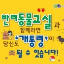 인천반려동물농장 이미지