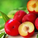 플럼마트 이미지