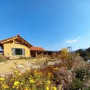 목수와 시인 | 청도 목수와 시인