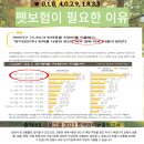 푸른하늘 동물병원 이미지