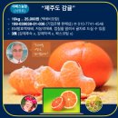 문정농장 이미지