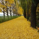 송정제방길 이미지