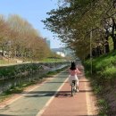 [HD]리눅스마스터 2급 자격증 따기 (1차) | [2024 상반기 결산]2024 상반기 결산 문답 + 올해 목표 체크하기