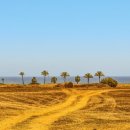 라인행정사 이미지