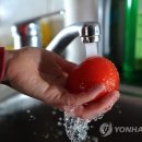 과일;야채 - 계양구 경명대로 1090 | 과일;야채