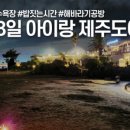 제주해바라기공방 네이버블로그