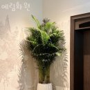 예림화원 | 서울 꽃집 추천 예림화원 가격 위치 이벤트