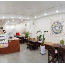 사파동121 이미지