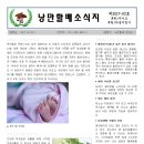 한글2010 활용 이미지