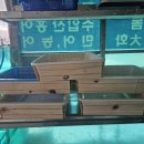 목포홍어무침 이미지
