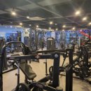 올타임휘트니스 이미지