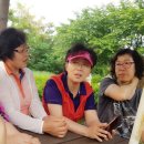 하늘아리 이미지